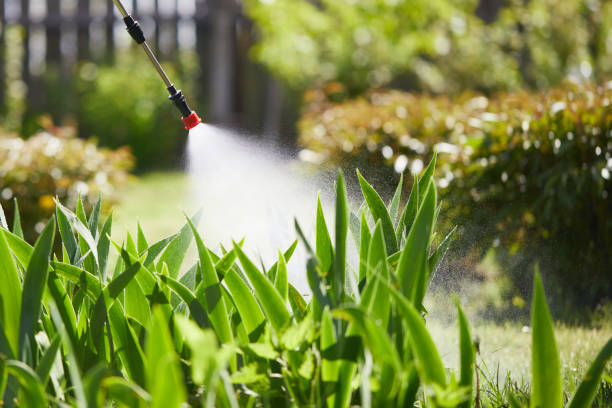 24/7 Emergency Mosquito Control experts in Waller, TX