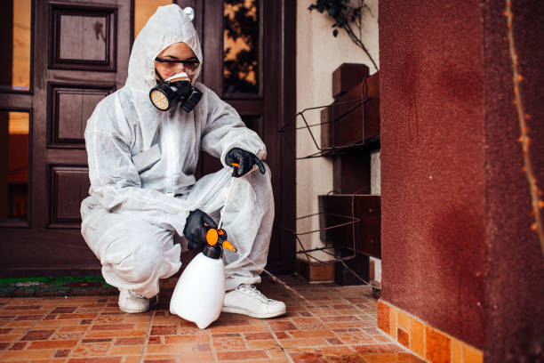 Reliable Mosquito Control contractor in Waller, TX by Show Me Pest Control